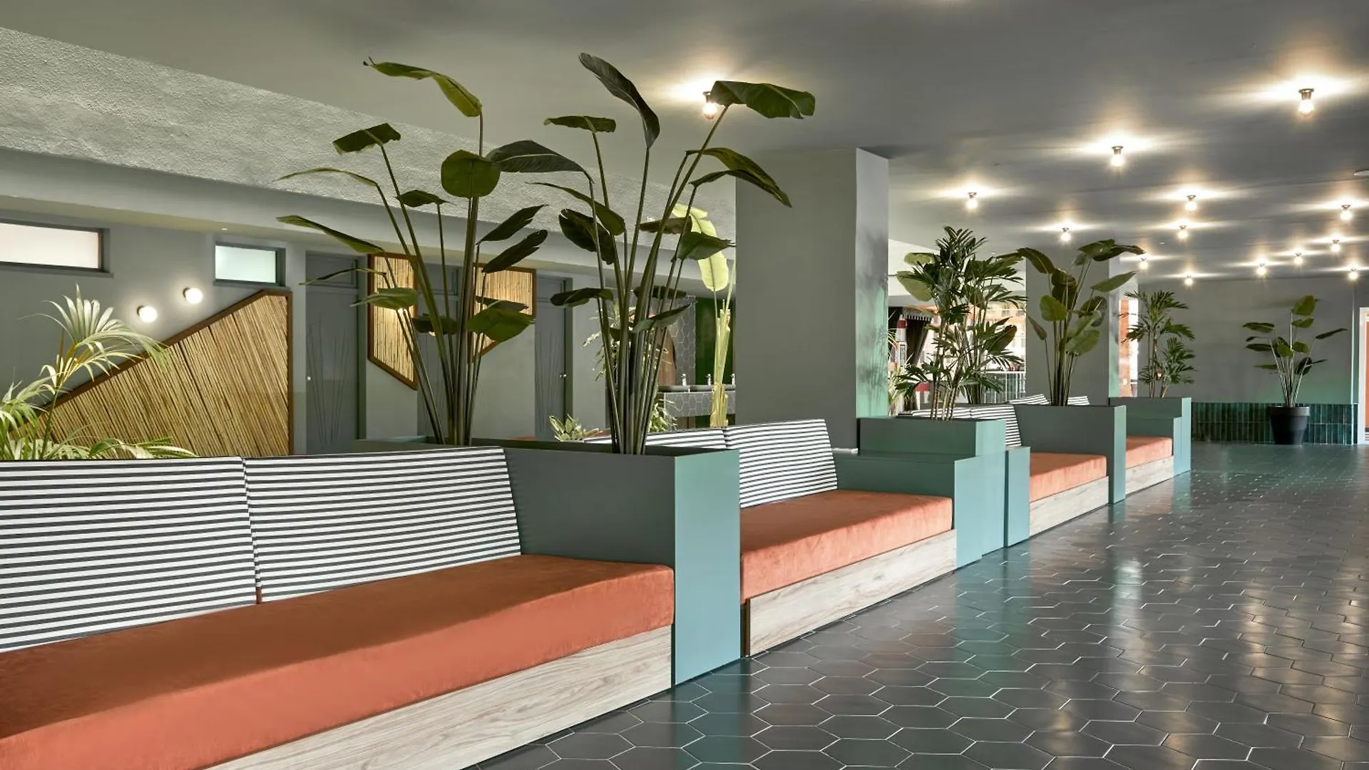 Tent Mojito Suites Magaluf  Magaluf (Mallorca)